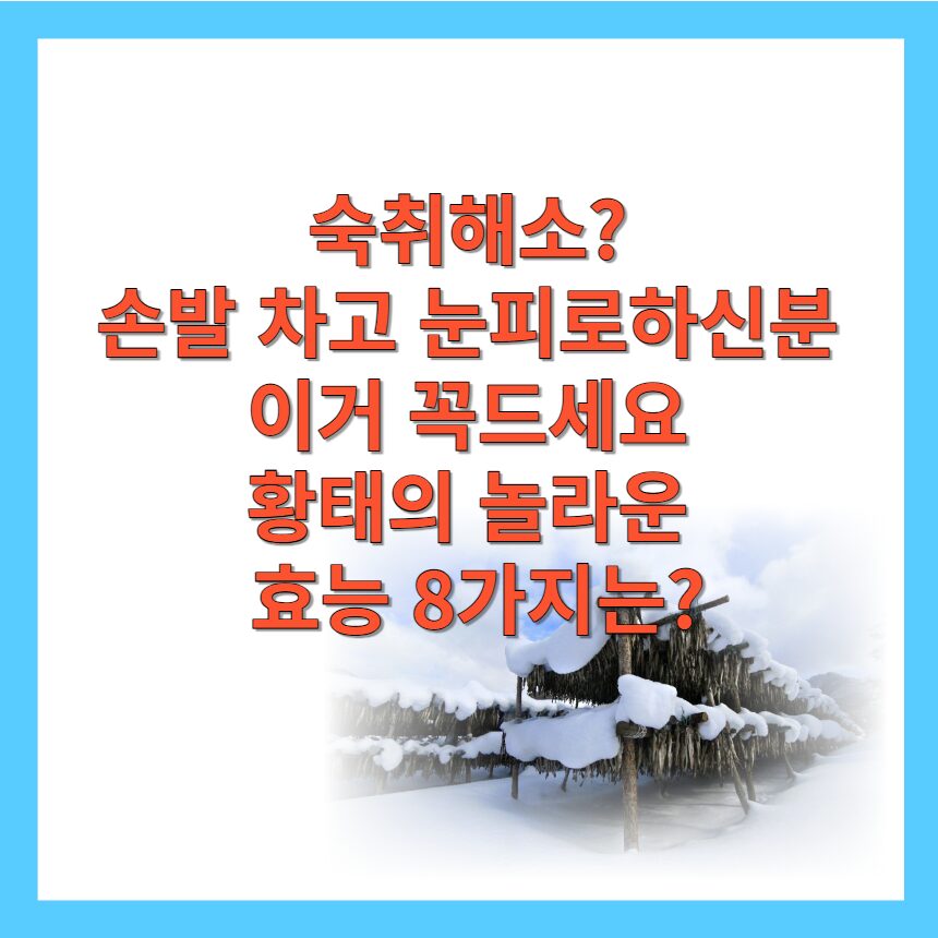 황태의효능