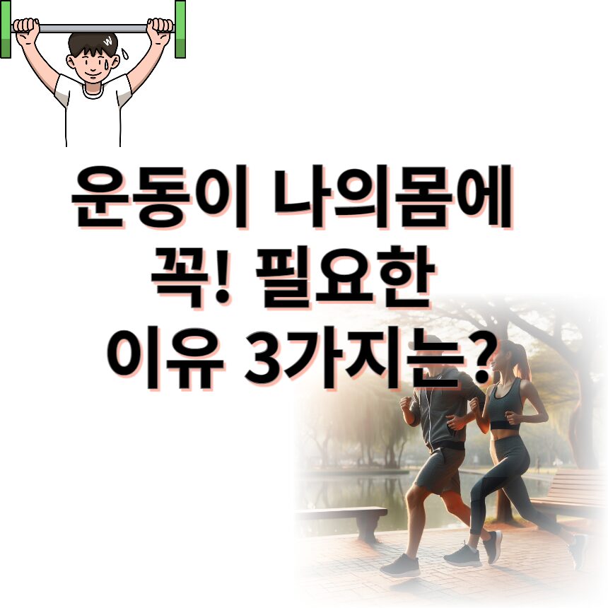 운동3가지