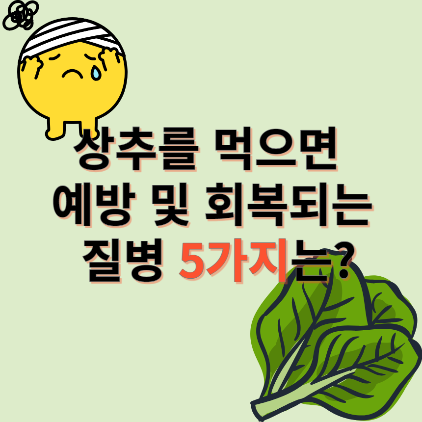 상추 회복