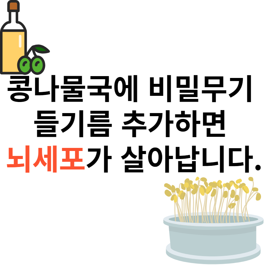 콩나물뇌세표