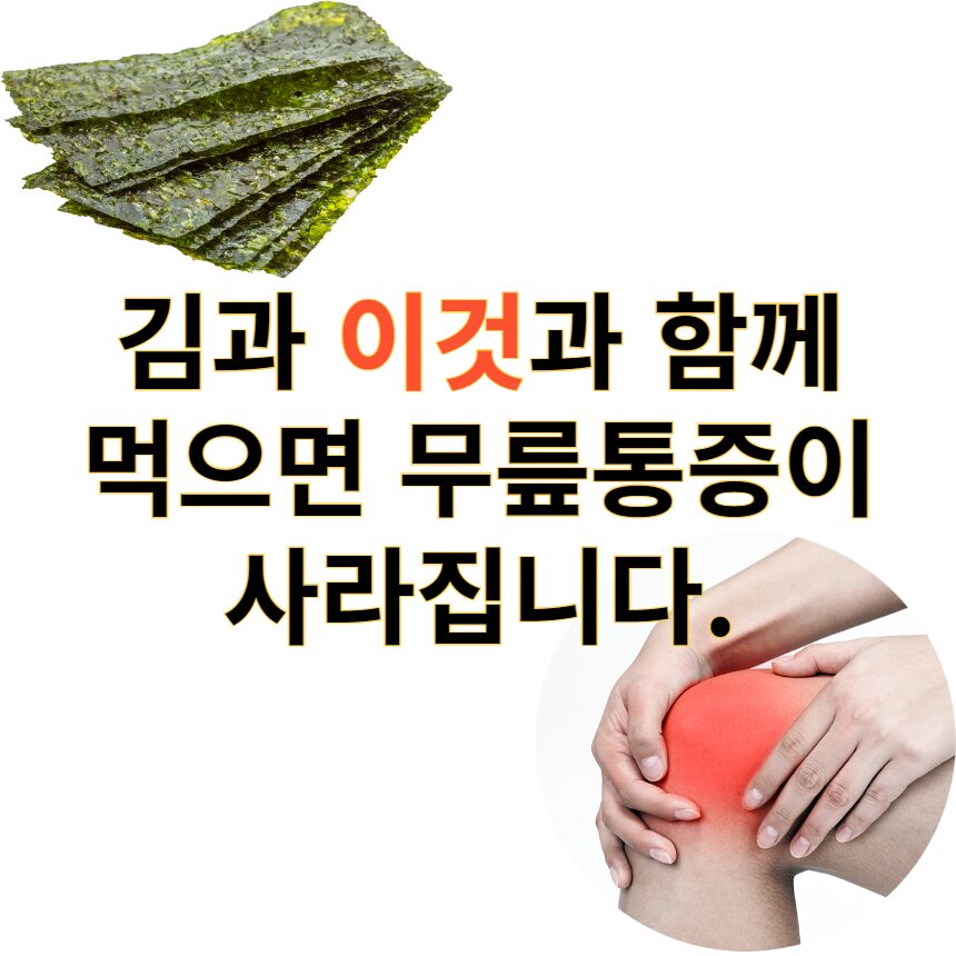 김과 이것 무릎통증