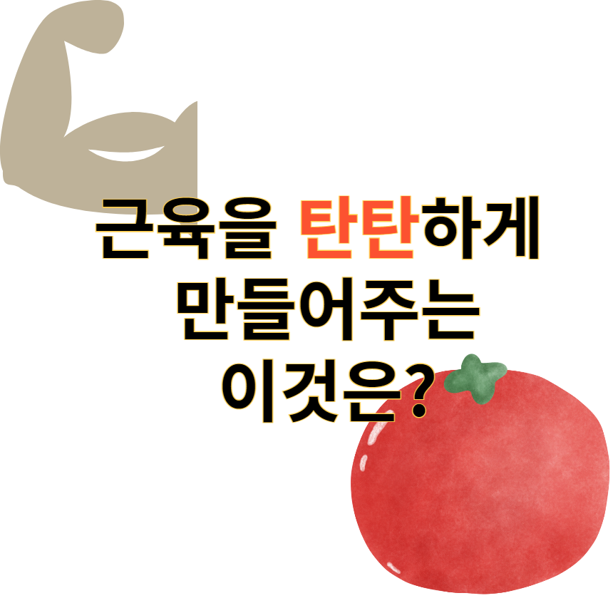 근육토마토