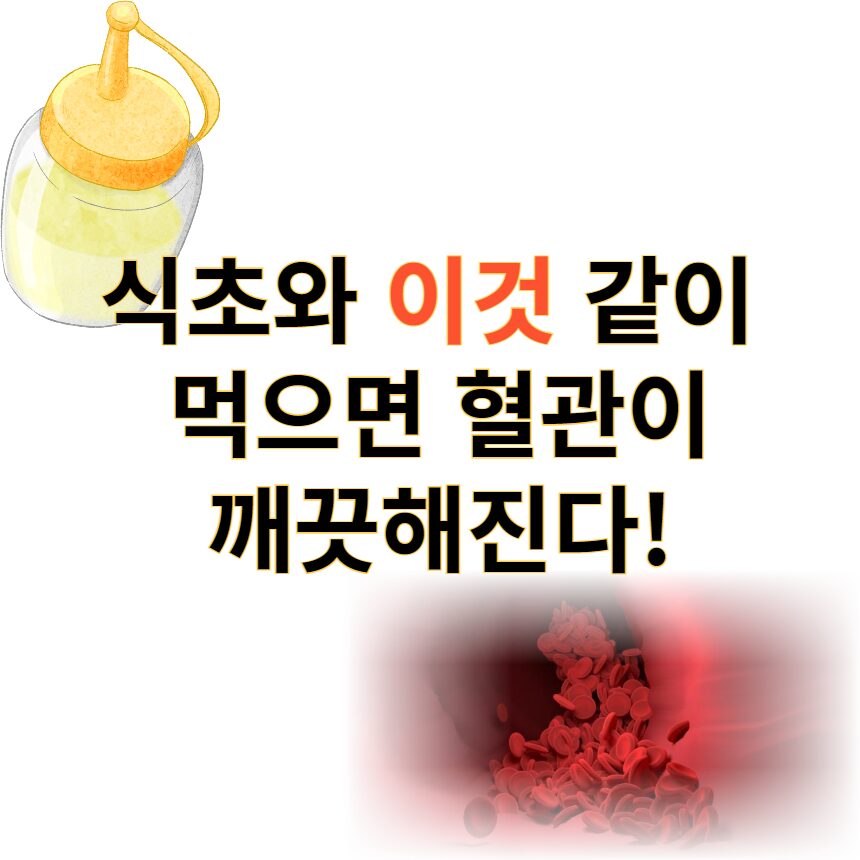 식초혈관