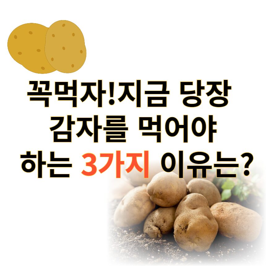 감자꼭먹자