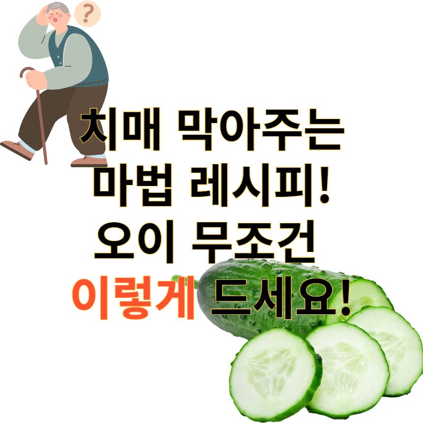 치매 레시피