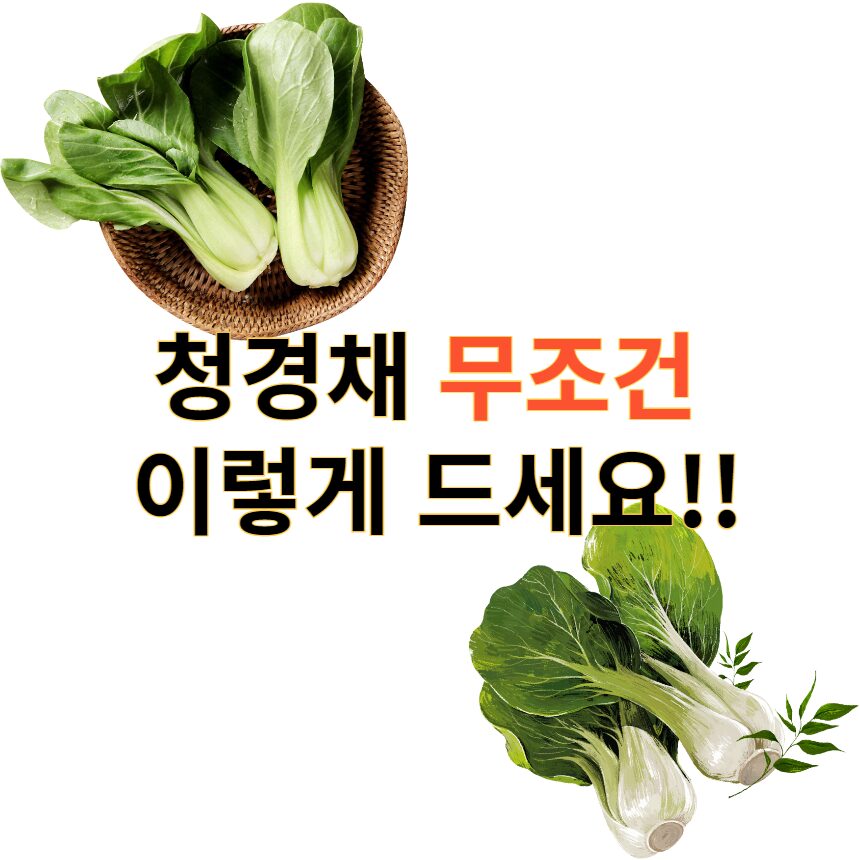 청경채 3가지