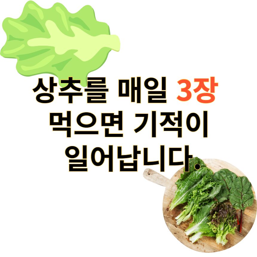 상추