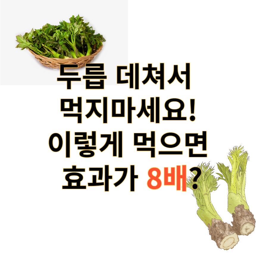 두릅8배