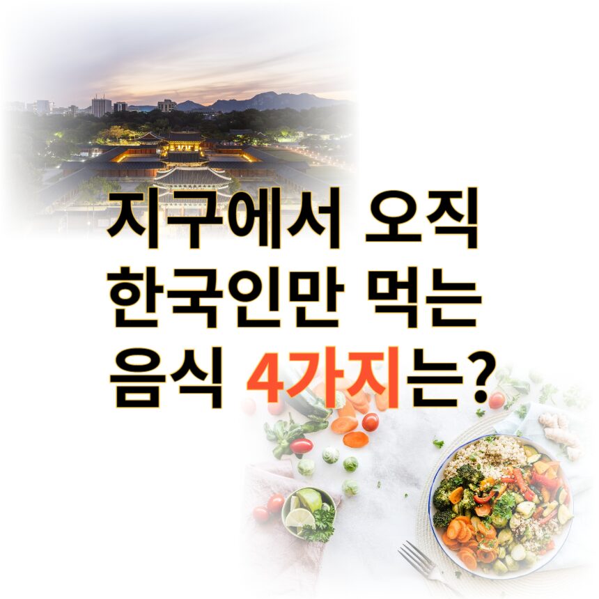 한국인만 먹는음식