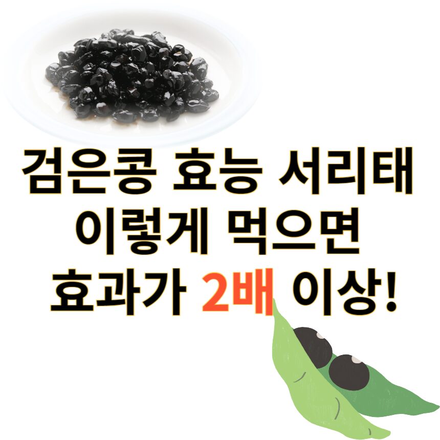 검은콩 서리태