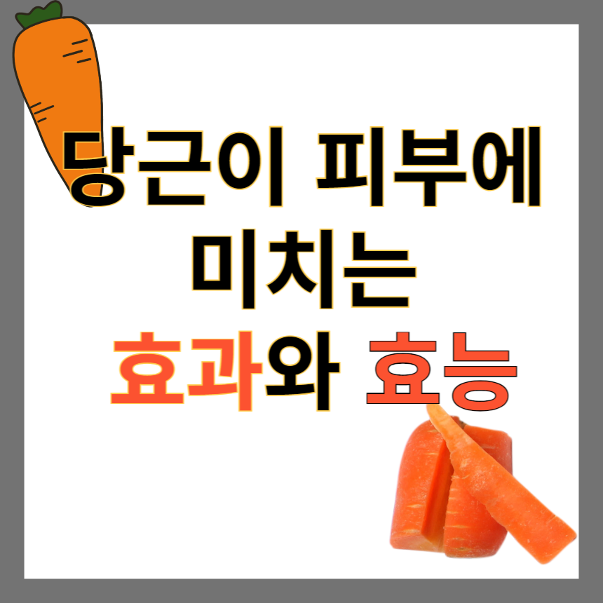 당근 피부효능