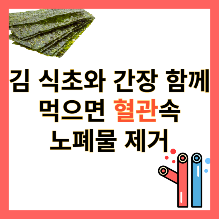 김 혈관