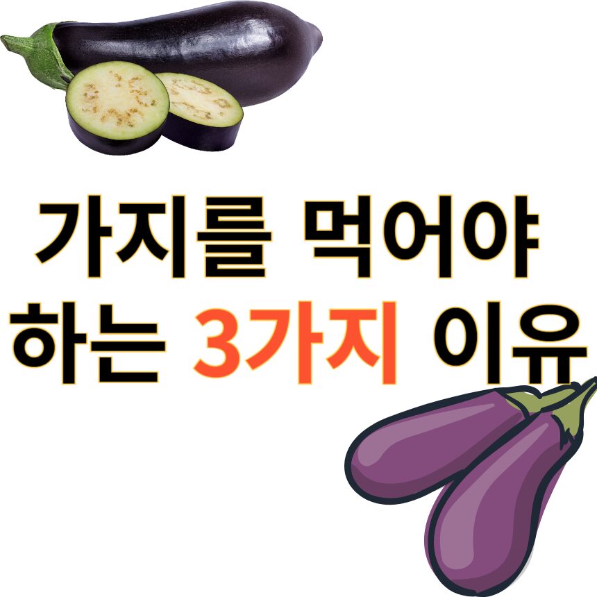 가지