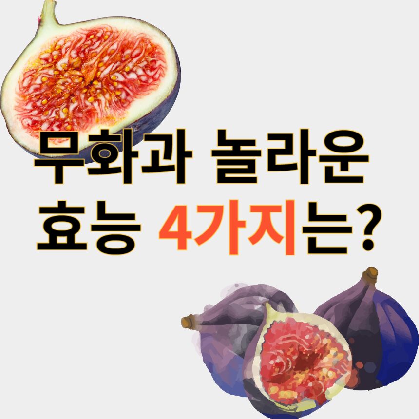 무화과