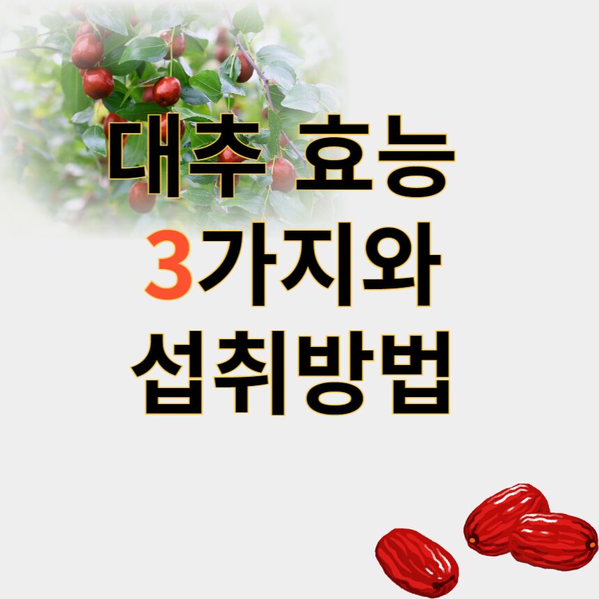 대추 효능