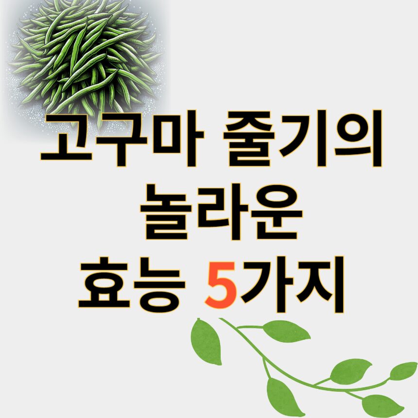 고구마줄기