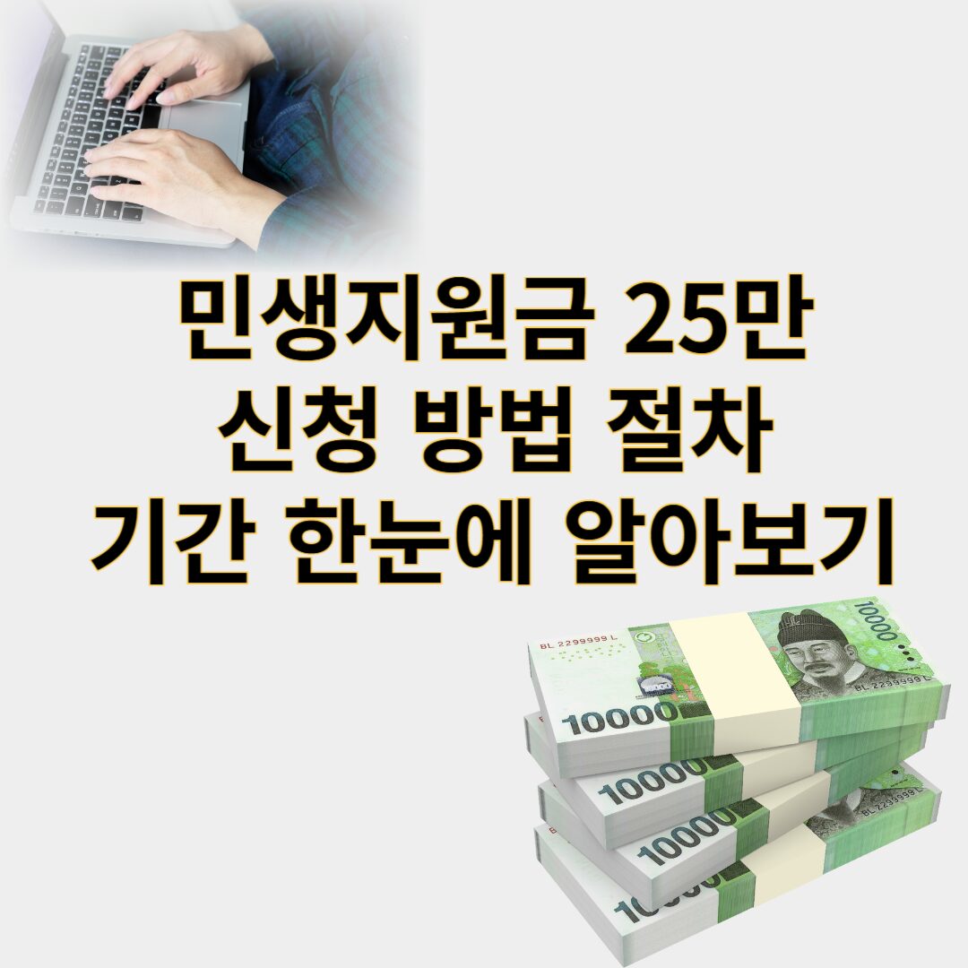 민생지원금 25만원