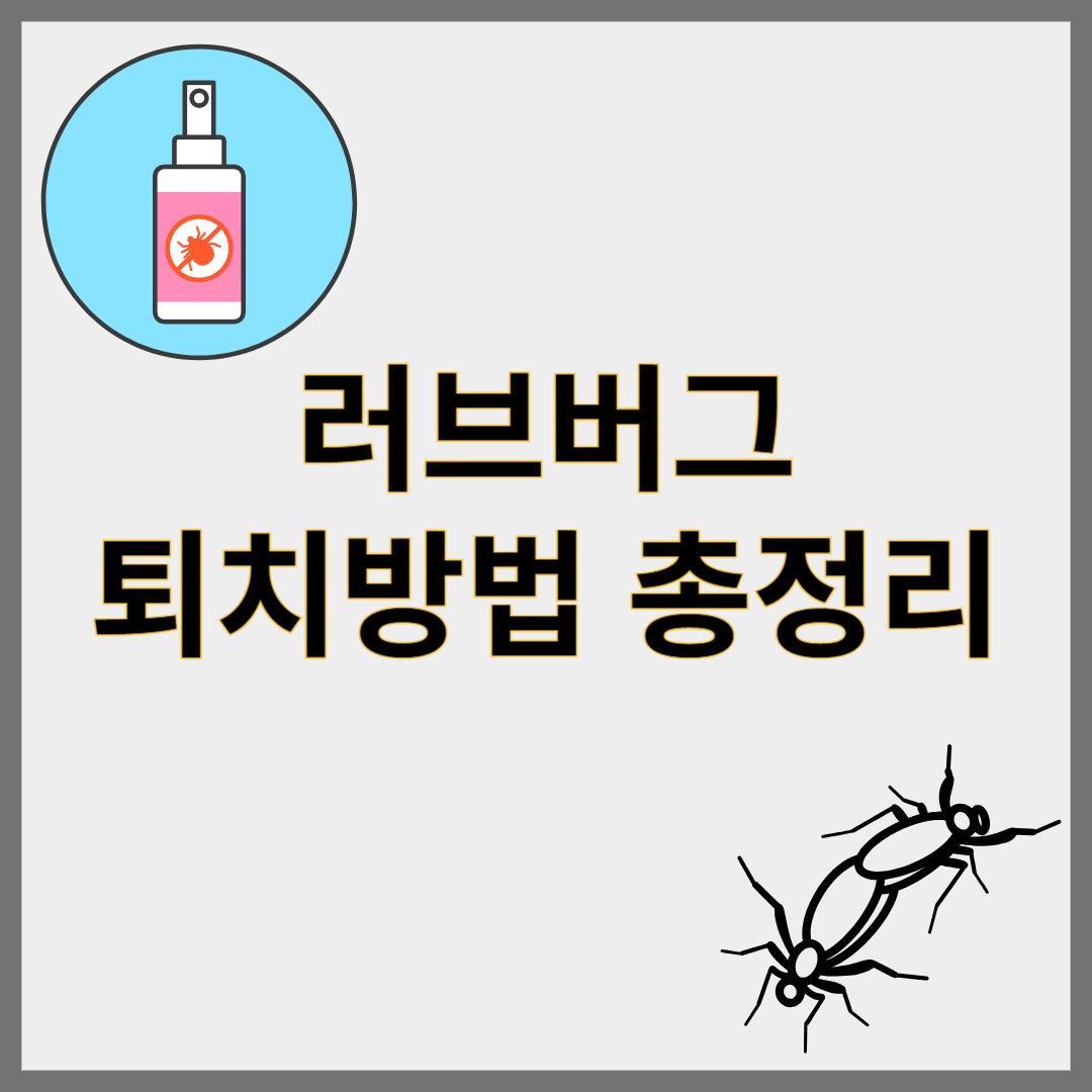 러브버그