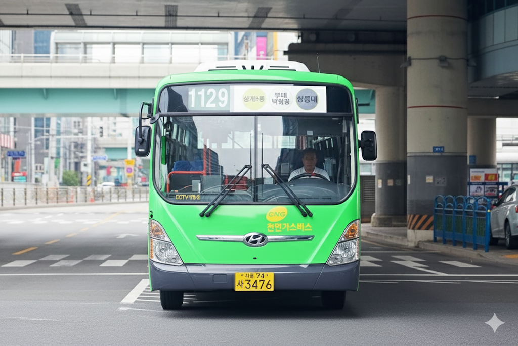 1129번버스