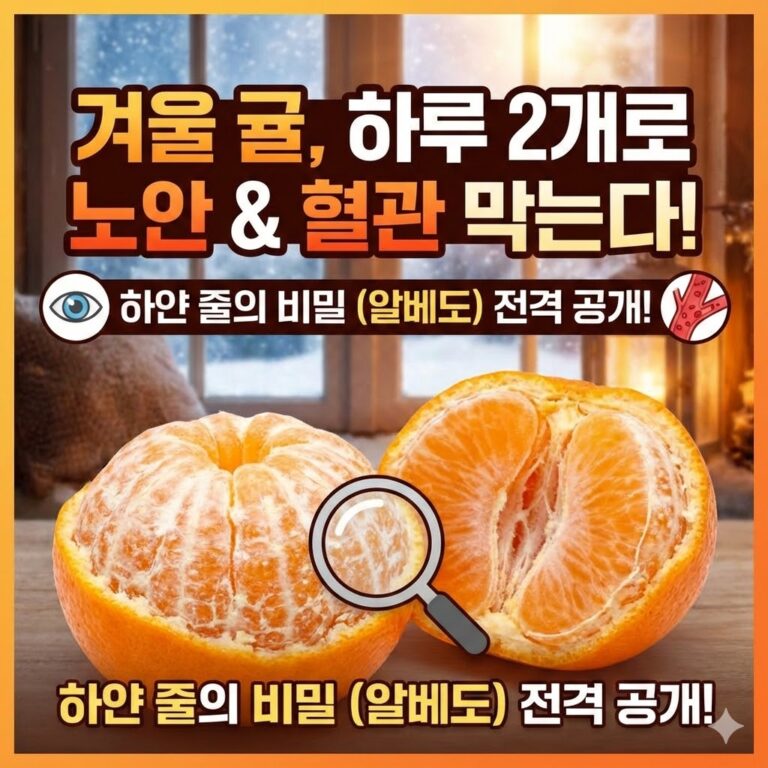 귤 건강