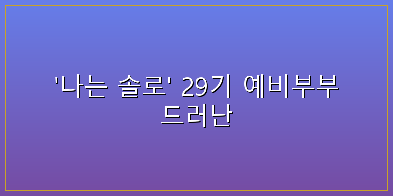 나는솔로29기